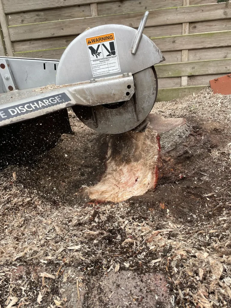 Arbor Aces Tree Stump Grinding
